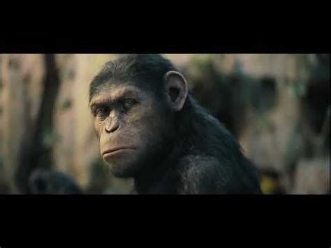 Ein besonderer affe namens caesar (andy serkis) wächst ihm dabei ans herz. „Review - Planet der Affen: Prevolution"
