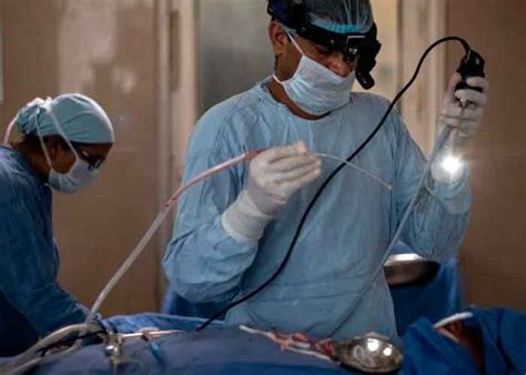 Luis neyra, especialista en microbiología y parasitología, nos explica sobre esta infección que ya está en sudamérica. Fallece paciente diagnosticado con 'hongo negro' en México ...