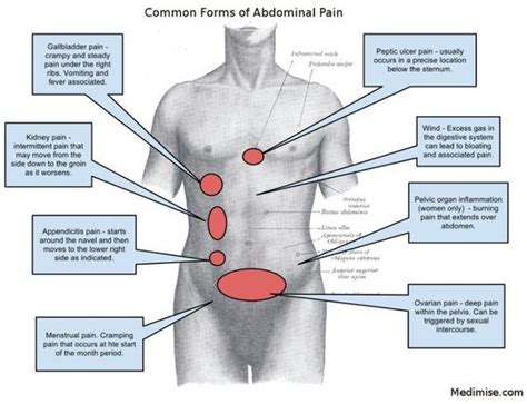 The pulse and breathing of a person in shock are …. Pin on body