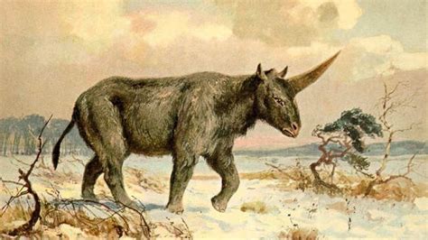 Before ppl changed it to a fantas… Unicorn-like creatures did exist and probably lived ...