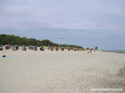 Besuchen sie uns am lensterstrand. Hundestrand Grömitz mit Beschreibung