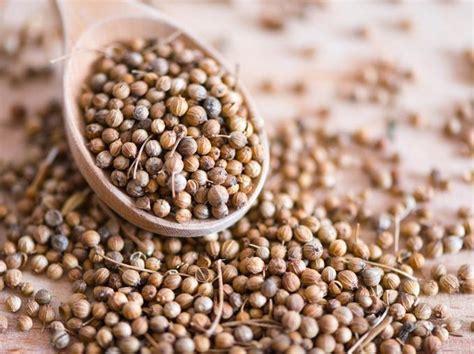 Tanaman ketumbar biasanya ditanam di… ketumbar atau nama ilmiahnya coriandum sativum, dalam bahasa inggris dikenal sebagai coriander, dan di amerika latin dikenal sebagai cilantro, sedangkan. Minuman Herbal Ketumbar - Jual Stok Baru Minuman Sebuk ...