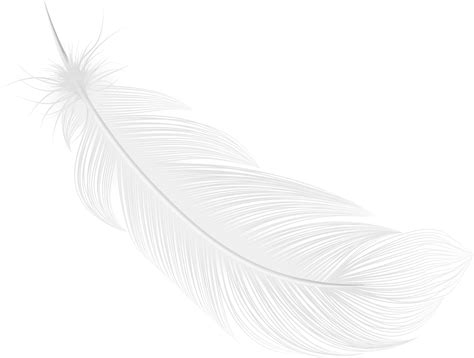 About Us - White Feather