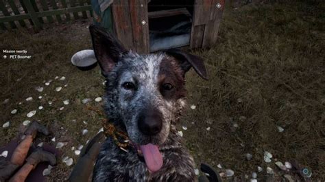 Either way, there's plenty of little references. How to get Dog Boomer in Far Cry 5 - GamingPH.com