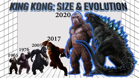 In this video we take a look at the size difference of godzilla and kong and all the talk surrounding the size comparison. King Kong: Evolution and Size Comparison (1933-2020) - YouTube