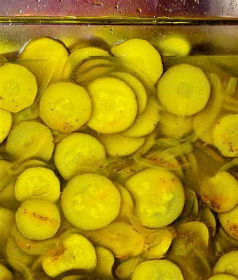Can you pickle large zucchini. Pickled Zucchini | Recipe (With images) | Zucchini pickles ...