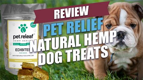 Best cbd oils for dogs with arthritis (2021 reviewed). Pet Relief Natural Hemp Dog Treats Review (2018) - YouTube