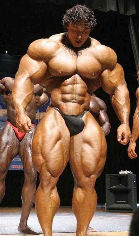 Anatomical muscle chart pdf www bedowntowndaytona com. Morph muscle image by Tom Rogers | Bodybuilding pictures ...