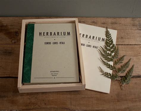 Herbarium mit 10 wiesenpflanzen mit wurzel und blüte preis: Herbarium Kostenlose Vorlagen / Inhaltsverzeichnis Vorlage ...