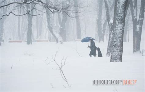 Погода у києві на тиждень. Погода в Украине: Завтра ожидается сильный снег в Карпатах ...