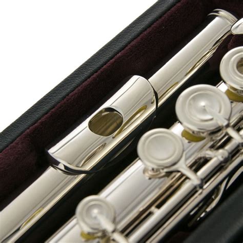 For those gasping at the prices of the professional flutes we've curated here, and for whom exceptional solo performances may not be a central deciding point when comparing options, we suggest checking our intermediate flute reviews. 5 Best Professional Flutes Reviewed in Detail Jun. 2020