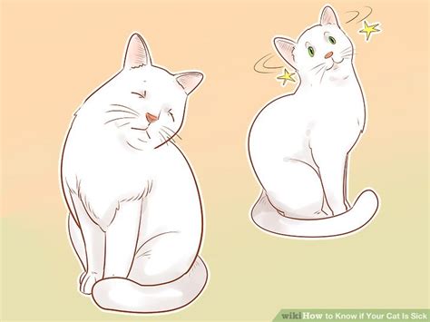 I did once in a while sit down and start coughing again and she gave me a look that says i know you're sick and i don't like it (i'm not sure about that really) but then closes her eyes and tries to sleep again with. 4 Ways to Know if Your Cat Is Sick - wikiHow