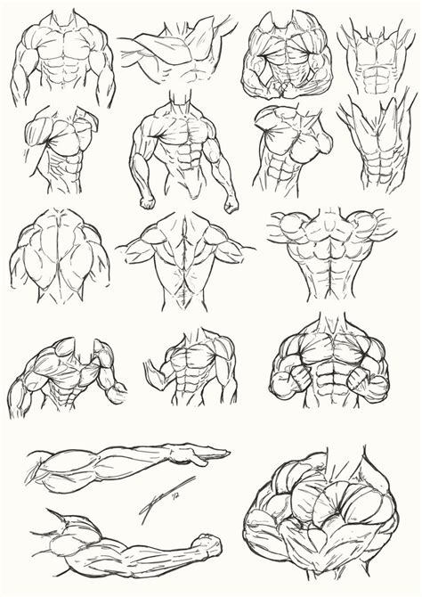 Wow.i didn't post any tutorials for a long time.i was quite busy anyway.here's tutorial on how i paint male torso anatomy. Figure Drawing Poses Male at GetDrawings | Free download