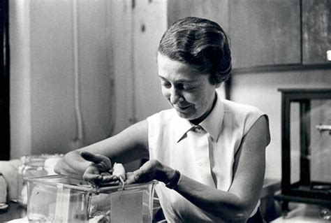 She was awarded the 1986 nobel prize in physiology or medicine jointly with colleague stanley cohen for the discovery. Rita Levi-Montalcini ed il fattore di crescita neuronale ...