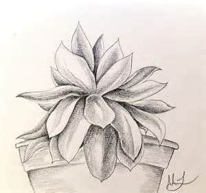 Polish your personal project or design with these pencil drawing transparent png images, make it even more personalized and more attractive. Pencil Drawings of Plants - Bing Images | Plant drawing ...