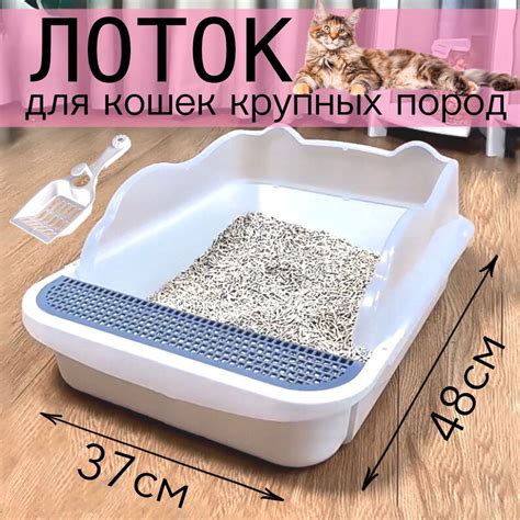 Лоток для кошек, кошачий туалет с высоким бортиком - купить с доставкой ...