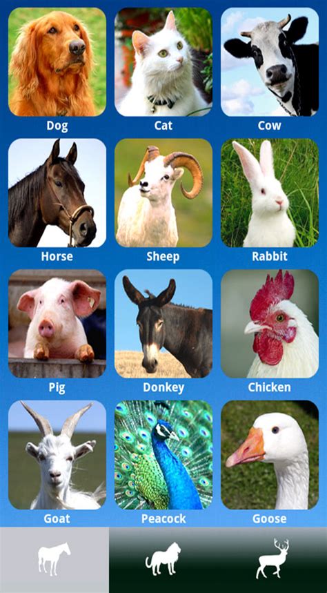 Monitoring your trading positions can be a huge task in itself, and especially when you are on the go, with the 24/7 nature of the cryptocurrency markets, it quickly becomes obvious that everyone needs a cryptocurrency trading app on smartphones. Amazon.com: ZOOLA - Best animal app for kids: Appstore for ...