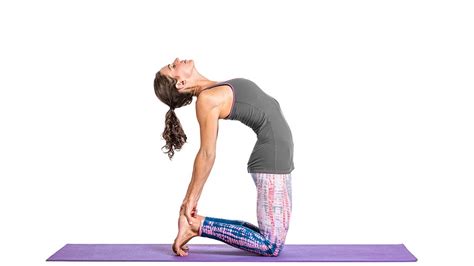 The pose is perfect for those looking to stretch the entire front of the body as well as great preparation for performing future deeper backbends. Ustrasana Yoga: Camel Pose | Yoga Pose | Gaia