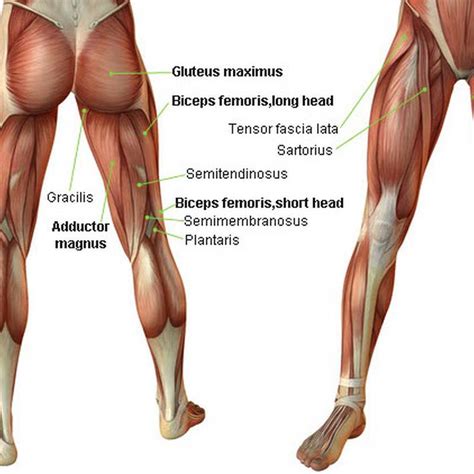 Check spelling or type a new query. Don't skip leg day — userlinux.net