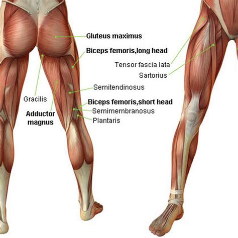 Maybe you would like to learn more about one of these? Don't skip leg day — userlinux.net