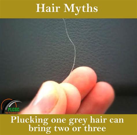 Scientists don't know exactly why some people go gray early, but genes play a large role. "Plucking one grey hair can bring two or three new from ...