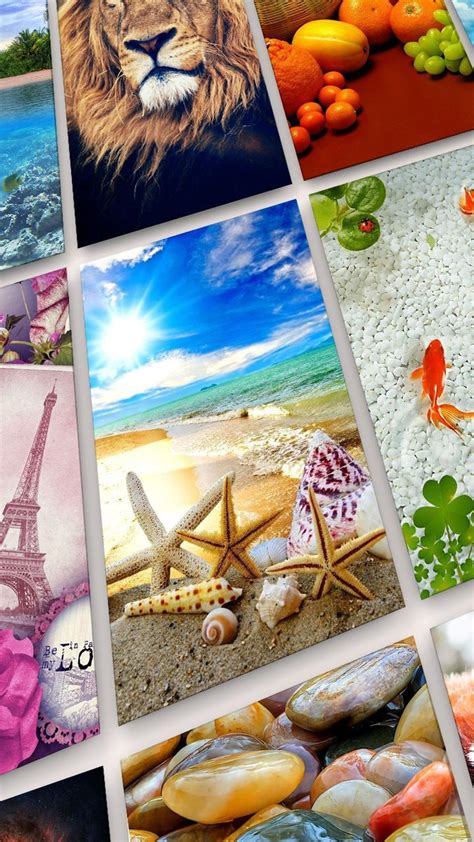 Baagus specialises in trendy and modern curtains, blinds, wallpapers. Paling Bagus 20+ Wallpaper Bagus Latar Belakang - Joen Wallpaper