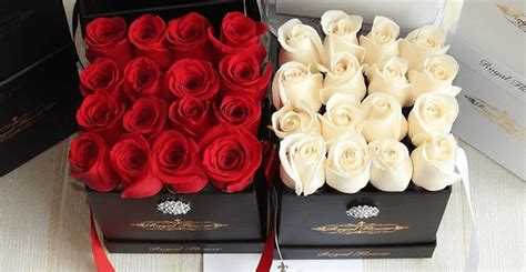 Check spelling or type a new query. Forever Roses: These fancy flowers stay fresh for an ...