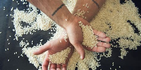 Maybe you would like to learn more about one of these? Italian Rice Recipes - Great Italian Chefs