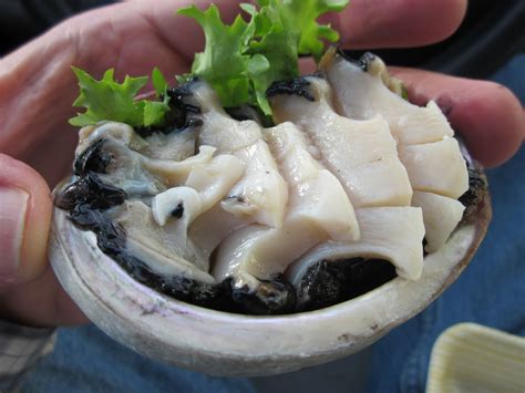 Abalone is a unique variety of seafood and highly regarded as a luxury/desirable food around the world. Cannundrums: Abalone