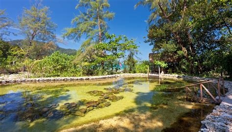 Langkawi international airport is 17.4 miles from the property. Gaja Wine Brings Goblets Of Merriment To The Andaman Langkawi | RobbReport Malaysia