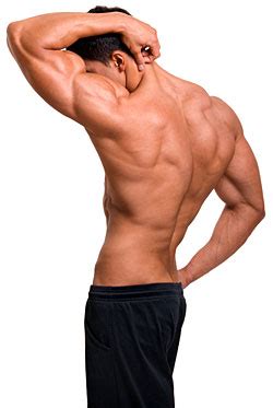 Since learning anatomy is not your primary objective, this is a conceptual view of the back muscles. Tips for Decreasing Muscle Soreness After Workout ...