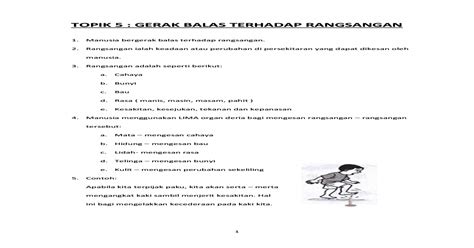 Sains tingkatan 3 kssmbab 1 rangsangan dan gerak balas1.2 rangsangan & gerak balas dalam manusia (bahagian 1)hasil pembelajaran :1.melakar struktur organ. Gerak Balas Rangsangan Tahun 4