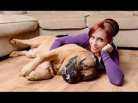 Top Ten Low Maintenance Dogs - YouTube