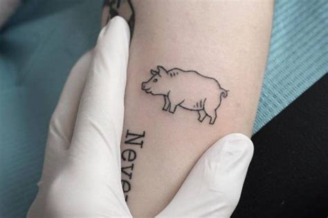 To hold fast means to hold onto the lines fast when the ship is aloft in bad weather, so sailors would not be thrown off.these words served as a special reminder to hold on and persevere during tough times. Pig Tattoo Ideas For Animal Lovers And Vegans 🐷 | Small ...