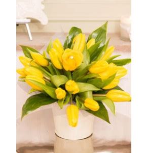 We did not find results for: Send Spring flowers Dublin, Ireland 1000sADS