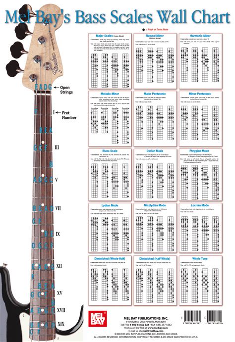 Here are 10 gifts that you should be giving them to make them feel like the ultimate rock star. 26 Best Bass Guitar Finger Protectors Bass Guitar Gifts ...