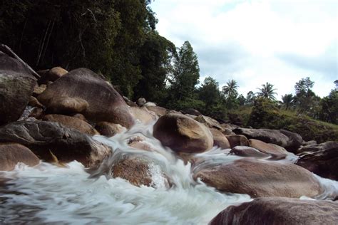 Hutan lipur gua cerita travelers' reviews, business hours, introduction, open hours. terengganusohor: Ketenangan Hutan Lipur Lata Payong