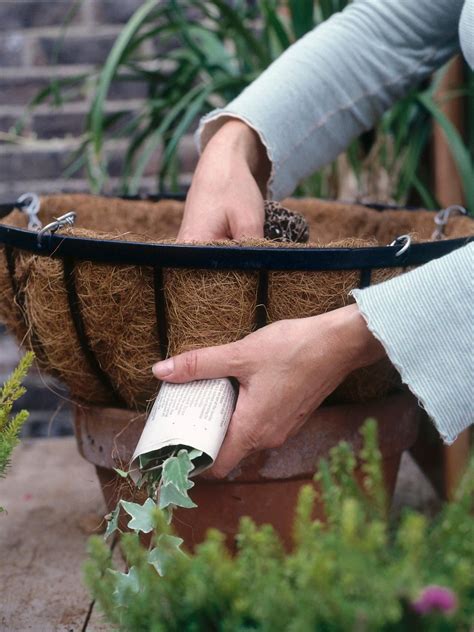 Hardware included to attach brackets to the window box brackets. Plant a Winter Window Box | Winter hanging baskets ...