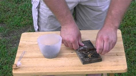 A skunk's defense against threat is to release a foul spray that will leave you. How To Kill A Skunk With Antifreeze