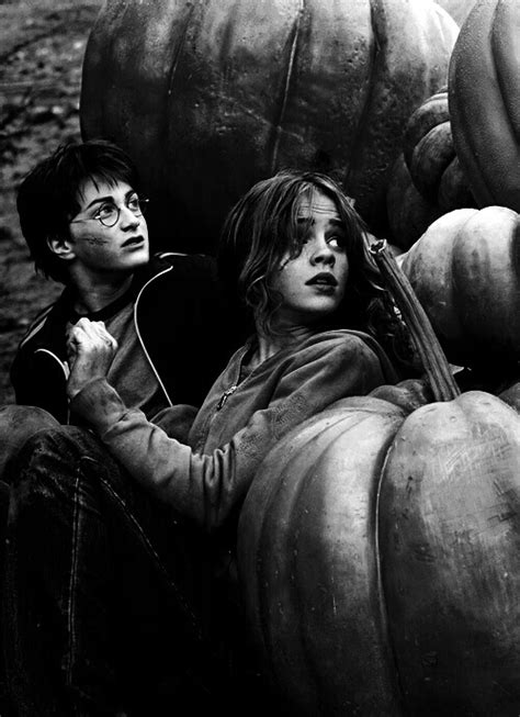 Check spelling or type a new query. black and white, blanco y negro, friends, harry potter ...