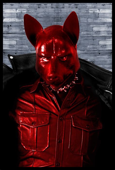 This is not a humane practice. Devil Dog | The rubber German Shepherd hood was made ...