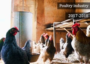 The company has been in existence since 1978 and was established as a public limited company on the 5th day of june 2003. Indian Poultry Industry | Poultry Industry at a glance ...