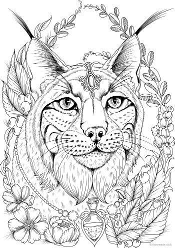 Cat coloring pages are fun, but they also help kids develop many important skills. Lynx | Animal coloring pages, Printable adult coloring ...