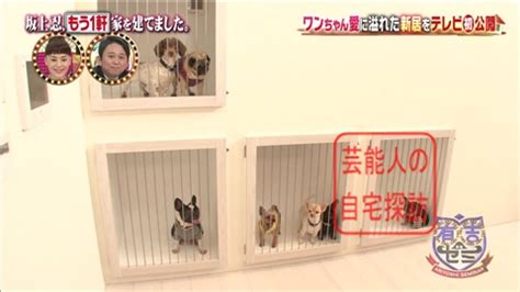 自由门最新7.97版 无界21.32正式版 自由门vpn 自由门 自由门使用教程 无界 无界浏览 无界vpn 翻墙. 【バイキング御殿】坂上忍、もう一軒、家を建てる【画像あり】