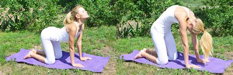 So we're going to come into cat and cow pose. Yoga for Flexibility and Openness - FitBodyHQ