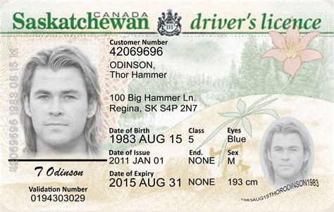 «drivers license» — дебютный сингл американской певицы оливии родриго, вышедший 8 января 2021 года на лейблах interscope records и geffen records. Ontario Driver Licence Number Generator - energydeck