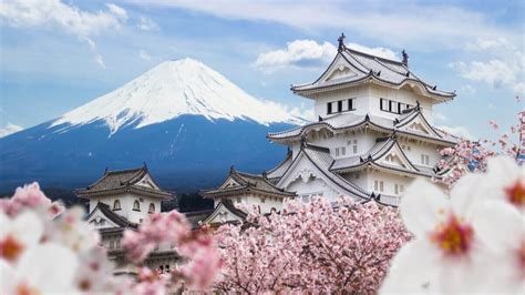 Companhias aéreas que voam para japão listadas no skyscanner. Como morar no Japão: um guia completo (2021) - Wise ...