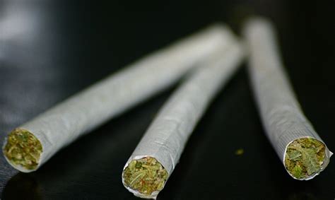 I hope you learned how to roll or at least a different way of rolling. Filtered Rolls - Stoner Guide