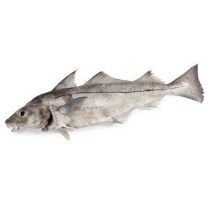 Haddock are primarily fished in the u.s. The Most Surprising Health Benefits Of Haddock 2020 ...