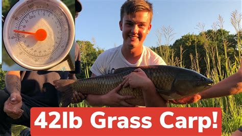 Check spelling or type a new query. How we caught a record breaking 42lb Grass Carp - YouTube